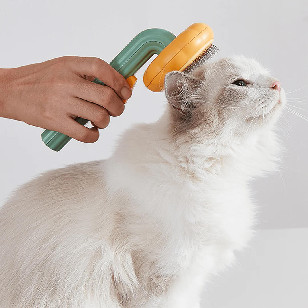 KATZELAND Selbstreinigende Katzenbürste